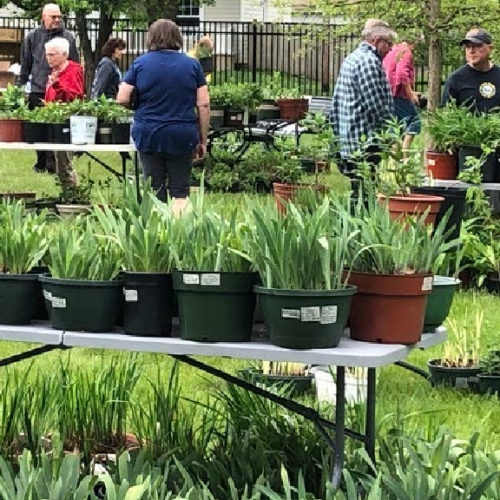 Plant Sale and Gardening Fair